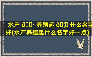 水产 🕷 养殖起 🦍 什么名字好(水产养殖起什么名字好一点)